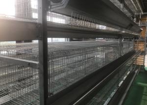 Wholesale Convenience Poultry Farm Water System With Drop Cups 15-20 Years Lifespan from china suppliers