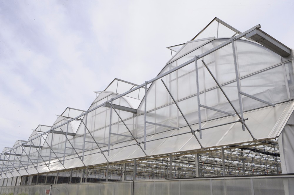 Gear Motor for Multi-Span Agricultural Greenhouses Shading and Ventilation System