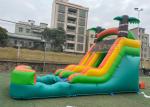 Anti UV Outdoor Adults Commercial Vinyl inflatable water slide rental backyard