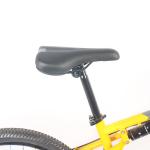 21-Speed 2-Wheel Carbon Steel MTB Mountain Bike With Shimano Tourney Derailleurs