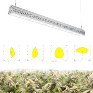 Wholesale Passive Cooling IP67 Waterproof LED Grow Lights No Fans High PAR Value from china suppliers