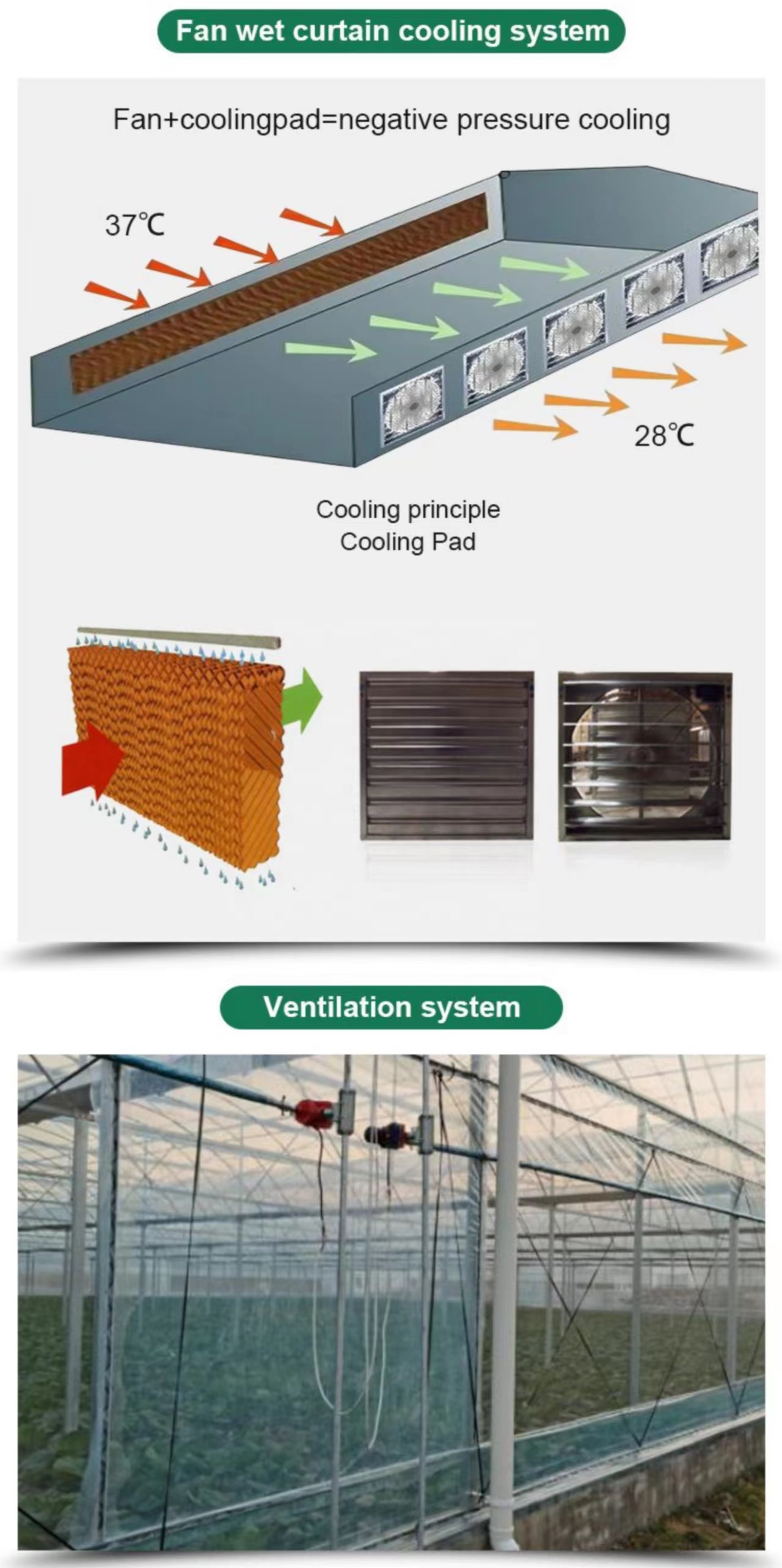 Customized Length Multi-Span Film Greenhouse for and Durability in Large-Scale Farming