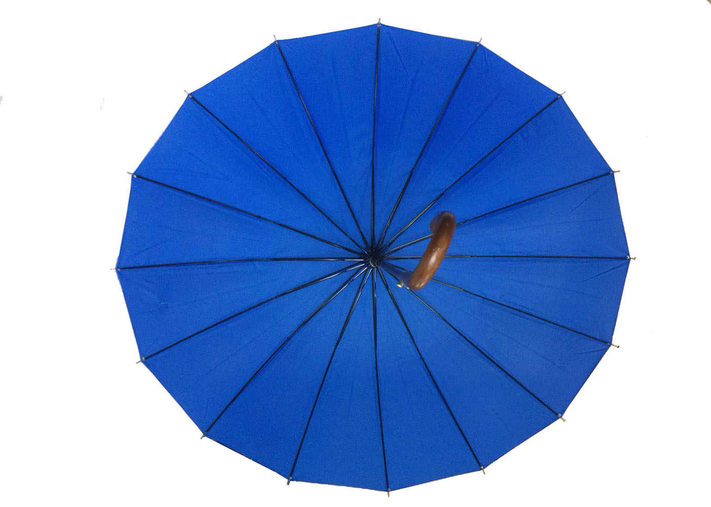 Wind Resistant J Shape Blue Golf Umbrella , Raines Umbrella Wooden Handle