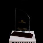 Customized shape laser engraving logo foil gold silver wooden base trophy