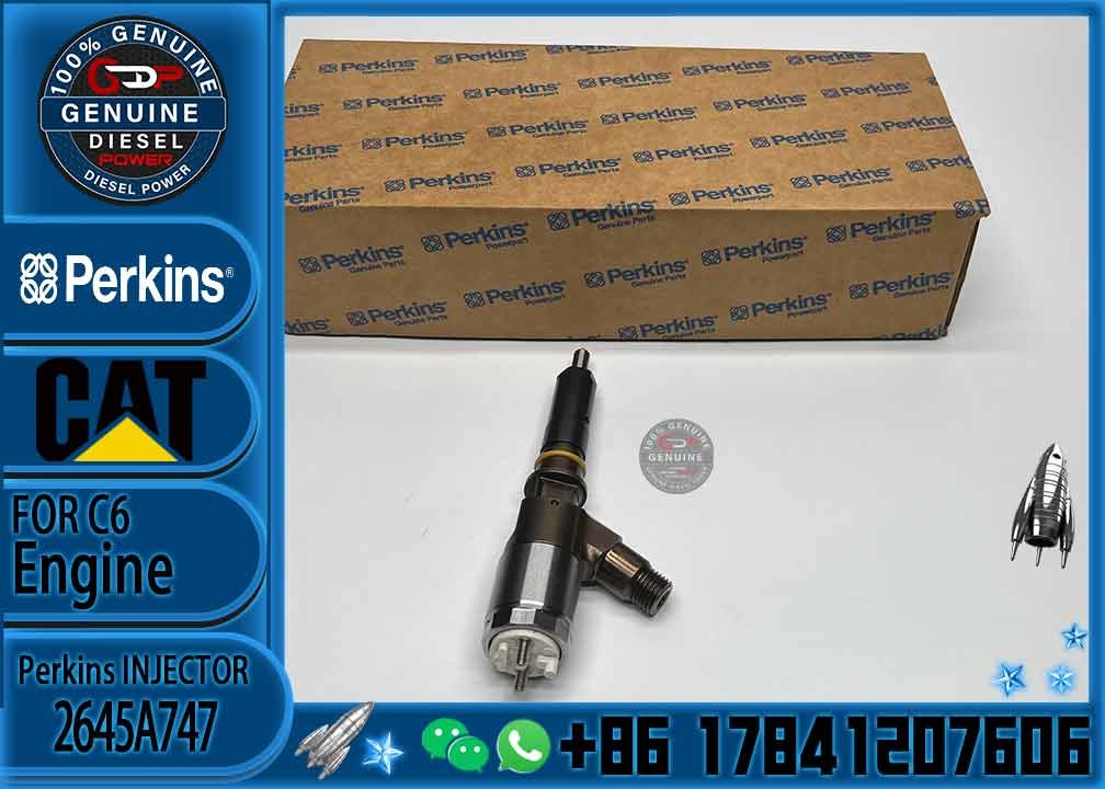 Cat engine parts 320d injector 3200680 320-0680 2645A747 for caterpillar c6.6 injectors