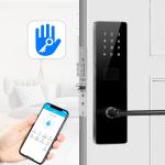 Black Color Bluetooth TTlock Password Electronic Smart Door Locks for Apartment