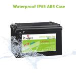 4000 Times 100ah 12v Deep Cycle Lifepo4 Battery Lithium for Home Appliances