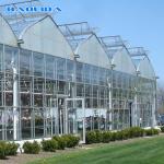 Commercial Glass Covered Venlo Style Greenhouse Anti Corrosion