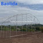 Singlespan Growing Farming Polyethylene Film Greenhouse For Vegetables