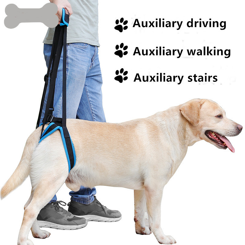 Auxiliary Belt Leg Support Pet Harness Leash For Disability Injury High Aged Dog