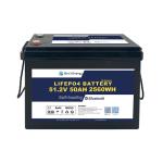 48V 50AH LiFePO4 Lithium Battery with Smart BMS for Marine Boat Renewable Energy