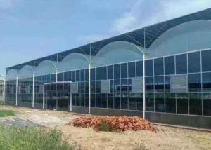 Wholesale Intelligent Agricultural Greenhouse Steel Frame For Vegetables Garden Tomato from china suppliers