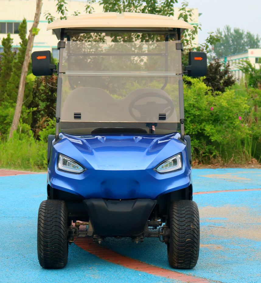 Luxury Rechargeable 2 Seater Golf Cart Lithium Ion Battery Golf Club Cart