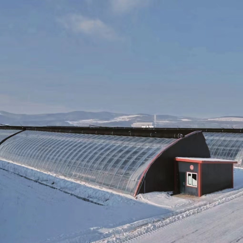 Sparay Irrigation Seeding Sunlight Greenhouse
