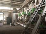 Capacity Customized Biomass Pellete Machinery Production Plant with Scada