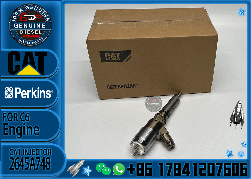 Common rail injector fuel injecto 10R-7675 2645A748 2645A743 320-0670 for C4.2 C6.4 Excavator C4.2 C6.4 320D