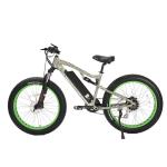 48V Electric Fat Tyre Bike Mountain 7 Speed E bike 500w 750w 1000w Aluminum