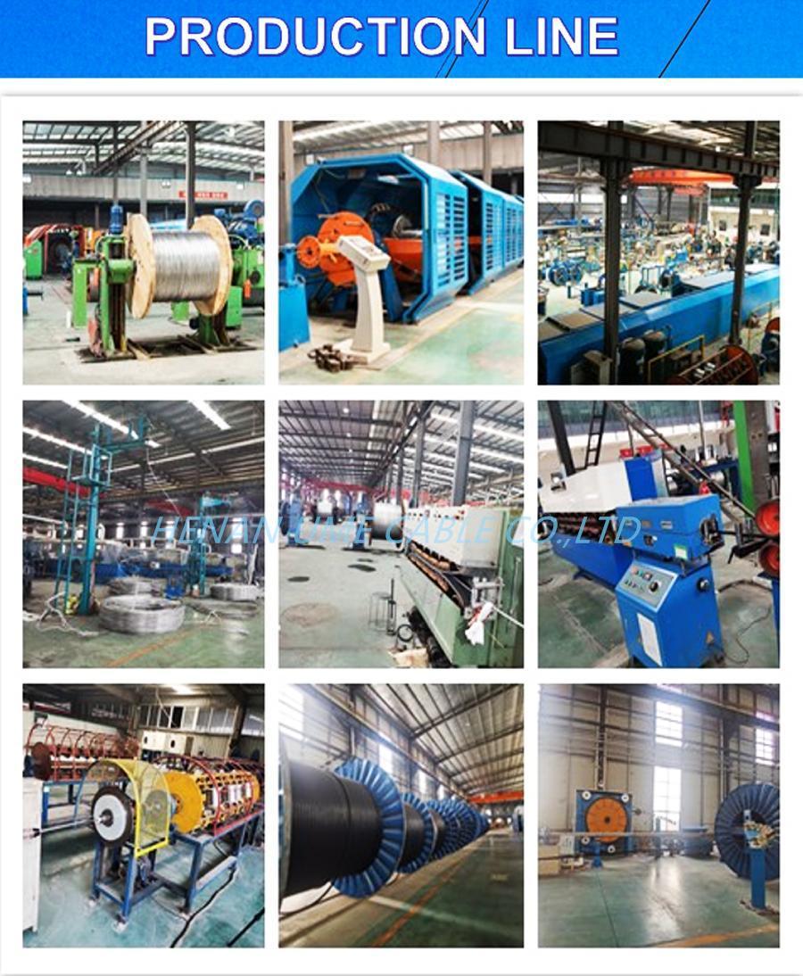 ASTM BS Standard 6AWG 4AWG 2AWG 1AWG 1/0AWG Aluminum Conductor Steel Reinforced Conductor ACSR Conductor