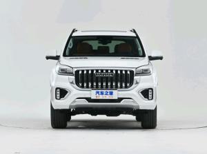 Wholesale HAVEL H9 2022 2.0T Gasoline 5 Seats 7 Seats Middle Large SUV 4WD 8 Geart AT&amp;MT from china suppliers