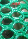 Green Plastic Mesh Netting 200-400gsm Anti Hail Anti Mole Net