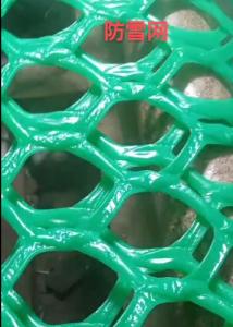 Wholesale Green Plastic Mesh Netting 200-400gsm Anti Hail Anti Mole Net from china suppliers
