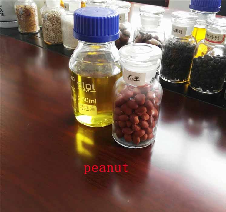 Sesame Seed Oil Press Automatic Food Processing Machine High Yield