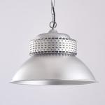 Economy Style High Bay Led Lights 220V Ceiling 100w High Bay Light