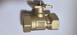 Siemens Ball Valve 2 Port Siemens Building Automation PN25 DN25 Kvs16 VAI51.25