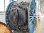 Solid Yjv Yjlv Conductor Xlpe PVC Power Cable 0.6/1kv for Construction