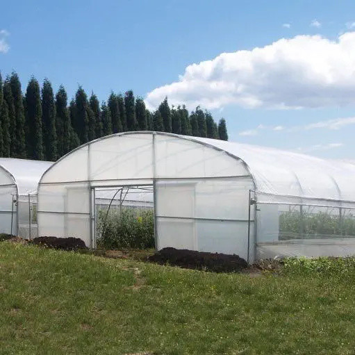 Winter Garden Plant Solar Warm Tunnel Plastic Greenhouse With Heater