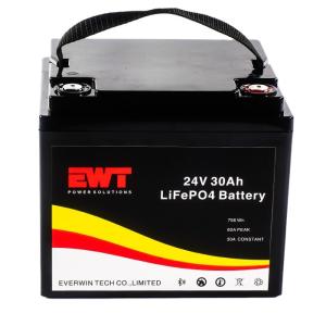 Wholesale Lightweight and Durable Li-ion Battery , Lithium Iron Phosphate Battery Pack 14.5kg from china suppliers