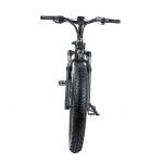 Disc Brake and 20*4.0 KENDA Tire High Power Electric Mountain Bike for City