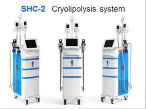 Wholesale Hot sale 2 freeze handles cryolipolysis slimming fat cooling machine from china suppliers