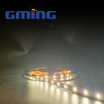 Outdoor Waterproof 2835 LED Strip 12W Dimmable LED Strip Lights