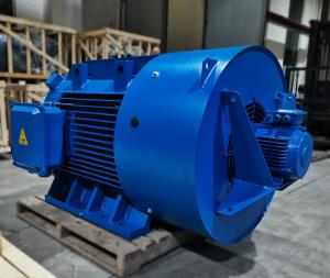 Wholesale Heavy Duty Gearless Variable Frequency Drive Motor High Power Density from china suppliers