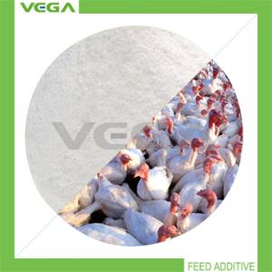 Wholesale Veterinary Products Florfenicol 20% Premix from china suppliers