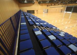 Wholesale Foldable Retractable Gymnasium Bleachers Fabric Upholstery For Sport Institutes from china suppliers