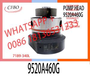 Wholesale High Quality Diesel Fuel Injection Pump DPA Head Rotor 7189-340L For 9520A460G from china suppliers