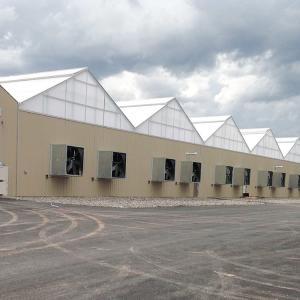 Wholesale Blackout System Polycarbonate Auto Light Dep Poly Greenhouses 30-60m from china suppliers