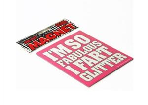 Wholesale OEM ODM Paper Fridge Magnet Durable And Waterproof Magnetic Car Signs from china suppliers