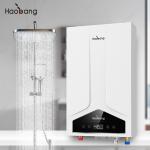Gas Water Heater with Balanced Flue Water Heater 110V-220V Electrical Voltage No