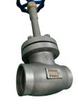 Cryogenic 304 316 PN65 DN50 Socket Weld Globe Valve