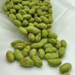 High Protein Roasted Bean Snacks Salty Roasted Edamame Beans