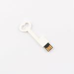 Conform Europe Standard Plastic Key USB Flash Drive 2.0 64GB 128GB 50MB/S