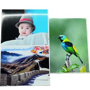 Wholesale 36&quot;X30m RC Color Photographic Paper from china suppliers