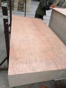 Wholesale Alkaline Resistant WBP 22mm Hardwood Veneer Plywood from china suppliers