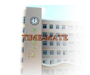Wholesale building clocks from china suppliers