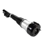 2213205513 2213205713 S-Class Rear Left Air Suspension For Car