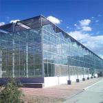 Hot Dip Galvanizing Steel Frame Photovoltaic Solar Venlo Glass Greenhouse Multi