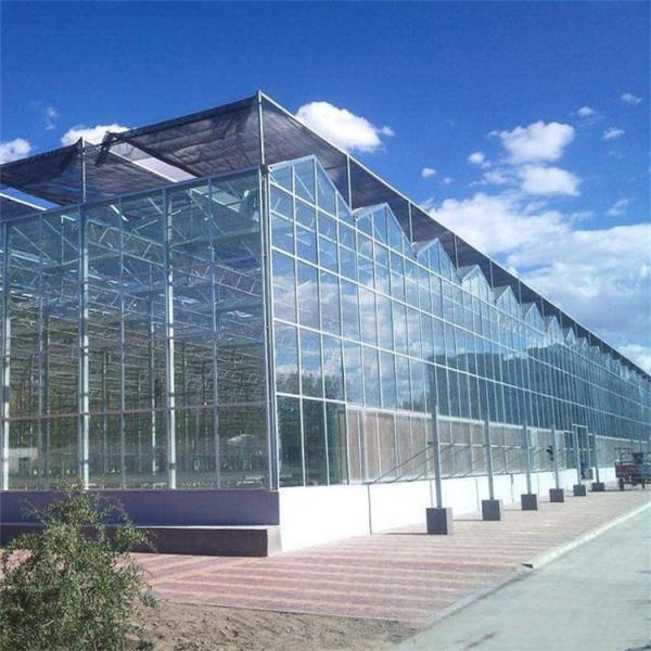 Hot Dip Galvanizing Steel Frame Photovoltaic Solar Venlo Glass Greenhouse Multi
